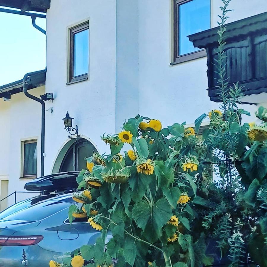 Ferienwohnung Schaller Feistritz an der Drau Exterior photo